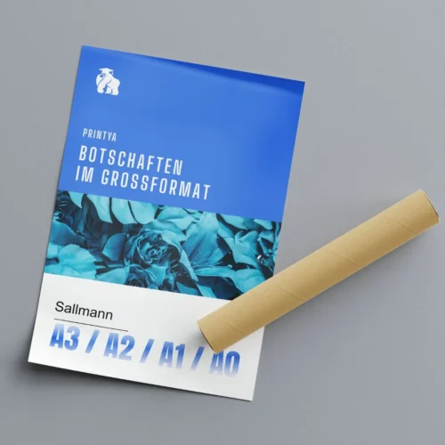 Großformatiges Poster mit Versandrolle als Beispiel für professionellen Poster- und Plakatdruck in verschiedenen DIN- und Sonderformaten.